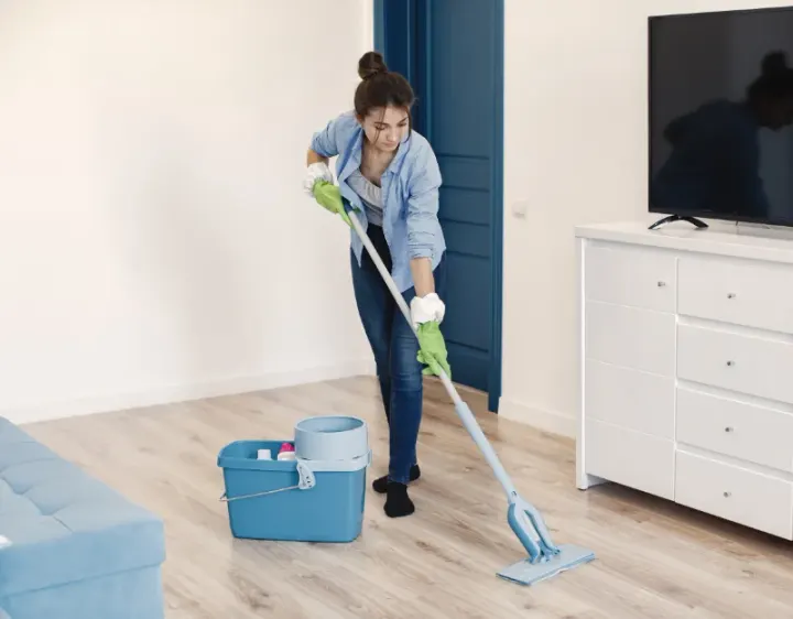 Femme de ménage Fort-du-Plasne